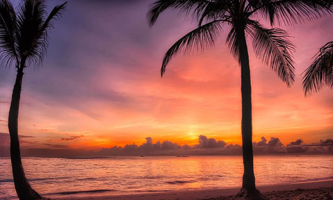 Enjoy vibrant sunsets on palm covered beaches on an Abacos superyacht charter